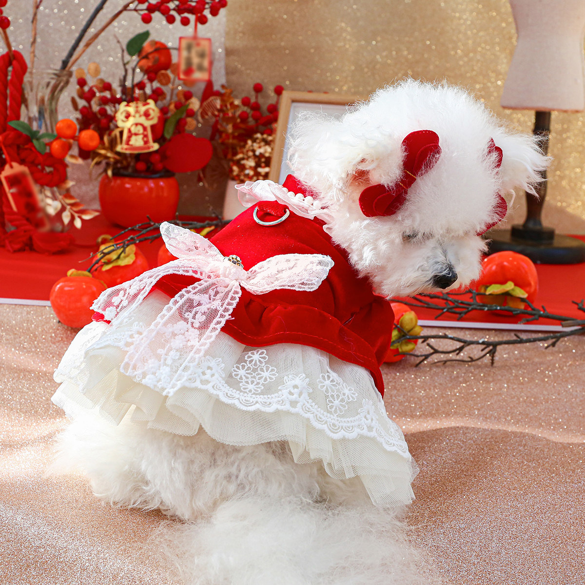 宠物小狗狗衣服圣诞节过年新衣大红丝绒公主裙子泰迪比熊幼犬猫咪