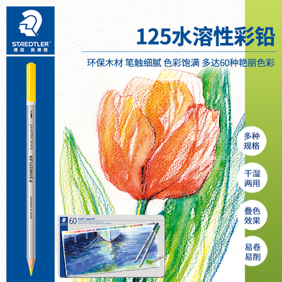 施德楼（STAEDTLER）水溶性彩铅干湿两用彩色铅笔 美甲彩铅 手绘