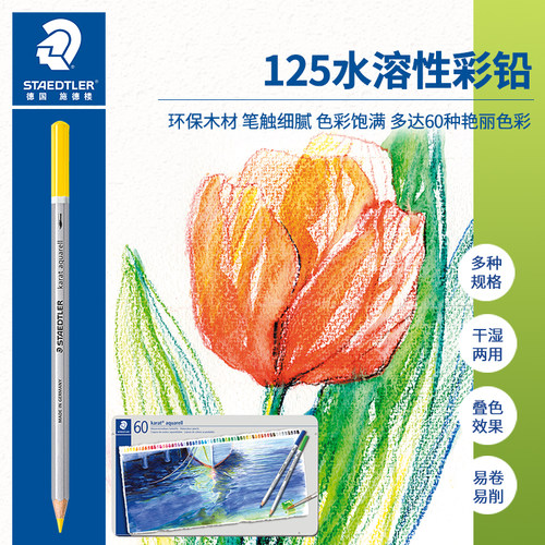 施德楼（STAEDTLER）水溶性彩铅干湿两用彩色铅笔 美甲彩铅 手绘