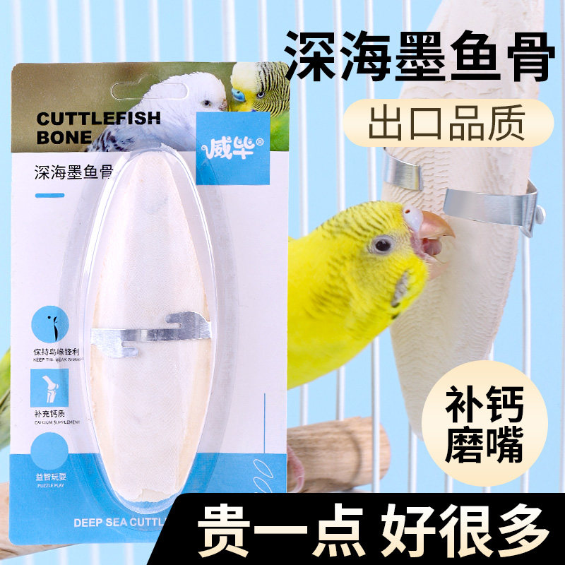 速发鹦鹉用品玩具墨鱼骨大块鸟用零食啃咬磨牙棒鸟笼配件大全虎皮