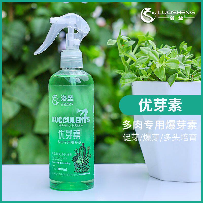 速发多肉植物促芽爆芽增色增肥植物通用催芽发芽素营养液
