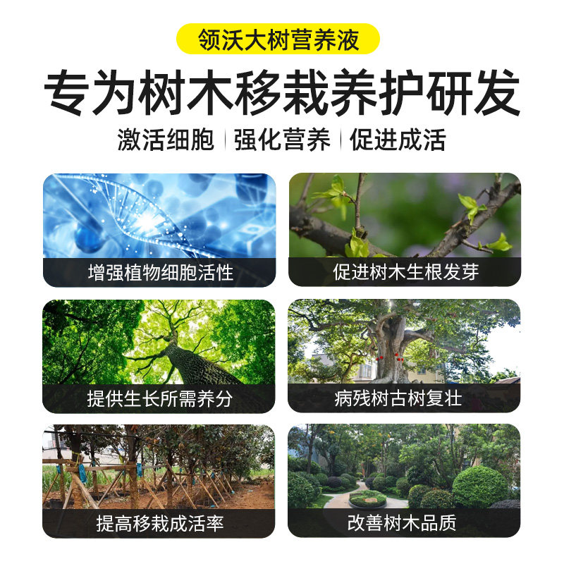 速发树木营养液大树吊针液果树输液袋移栽激活浓缩肥料植物生根通