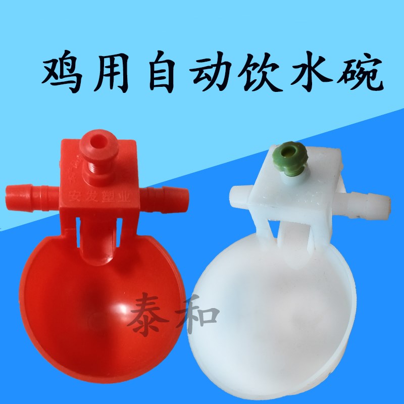 速发鸡用鸡水碗鸽子鹌鹑自动饮喂碗饮水器小饮雏鸡喝水碗鸟用饮水