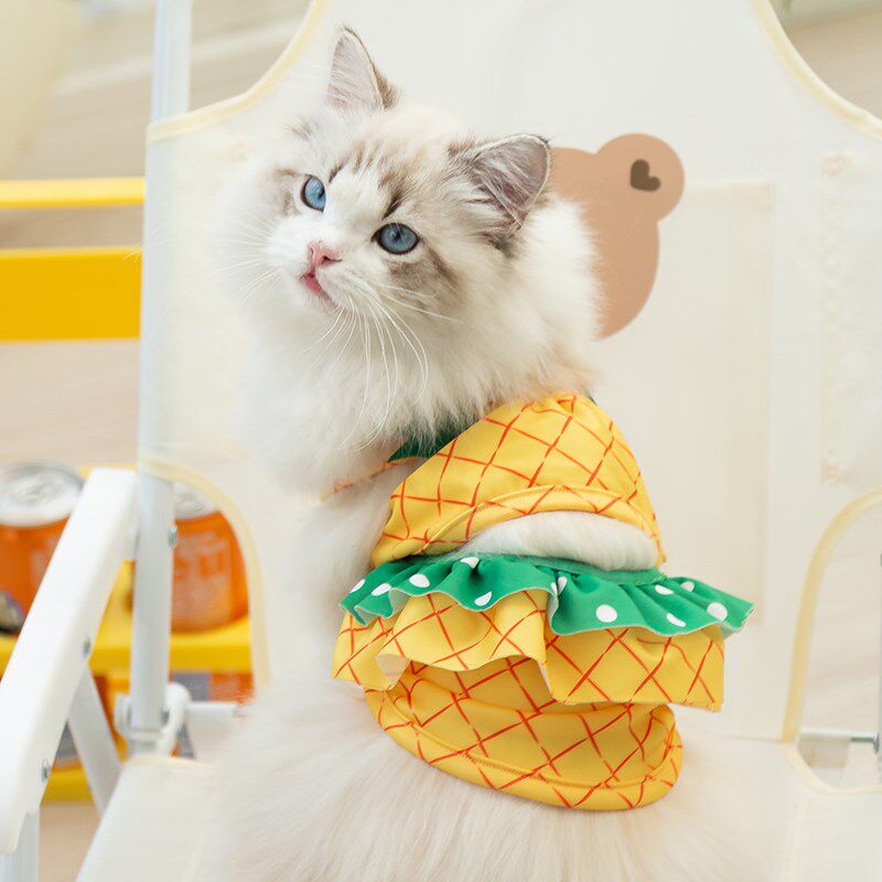 速发可爱菠萝泳装小猫咪偶服防掉毛薄款布衣猫幼猫加菲猫奶猫夏天