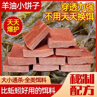 速发饵油饼羊料小饼子地网虾笼饵料逮龙虾河鱼泥鳅黄鳝杂鱼专用诱