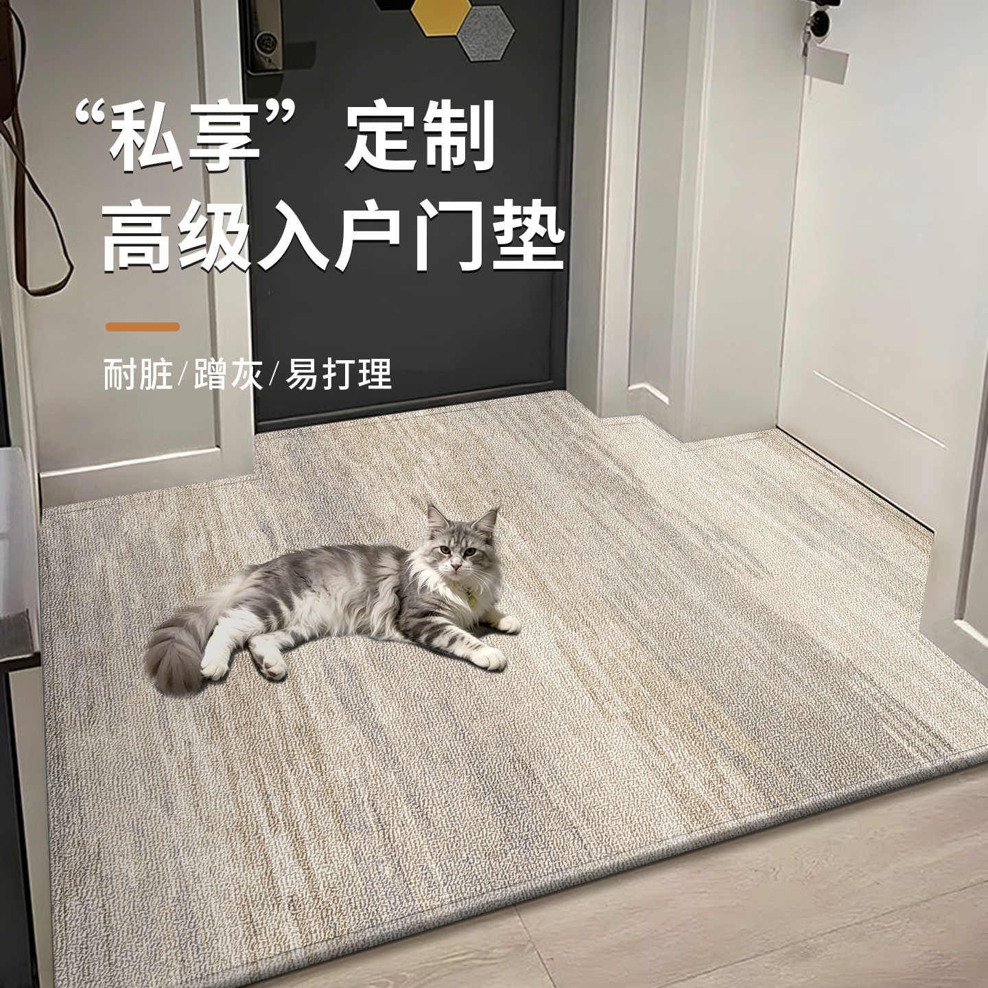 脚垫门垫入户进门地垫耐脏防滑地毯2026新款高级感可裁剪垫子地毯