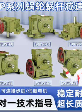 WPWDA/WPWDS/WPWDV/WPWDO/WPWDX/WPWDT蜗轮蜗杆减速机变速齿轮箱