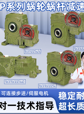 WPEDKA WPEDKS WPWEDKO WPWEDK 铁壳蜗轮蜗杆减速机齿轮变速箱