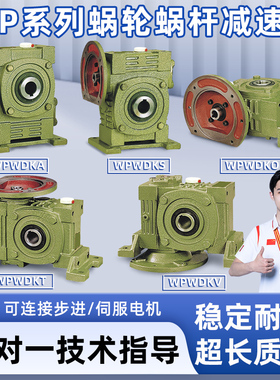 WPWDKA/WPWDKS/WPWDKV/WPWDKO/WPWDKT 蜗轮蜗杆减速机变速齿轮箱
