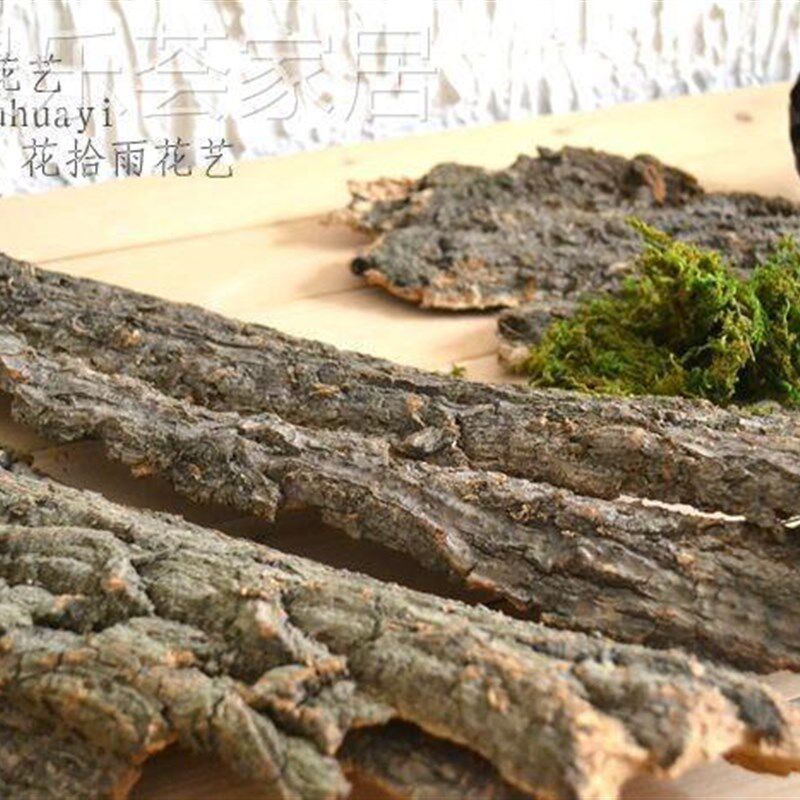 极速天然白桦树皮工艺礼品摆饰装饰风干工艺拍摄道具榆树皮包管道
