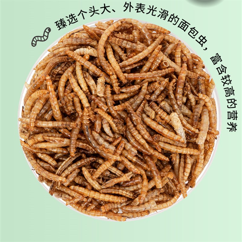 芦丁鸡饲料产蛋鸡粮专用粮食物面包虫干刺猬仓鼠豚鼠乌龟鱼宠物喂