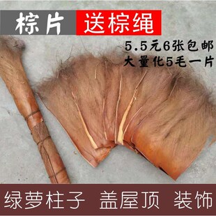 棕片棕树皮棕毛鬃蓑衣山棕榈丝茅草屋顶鲈鱼繁殖水质过滤绿萝棒柱