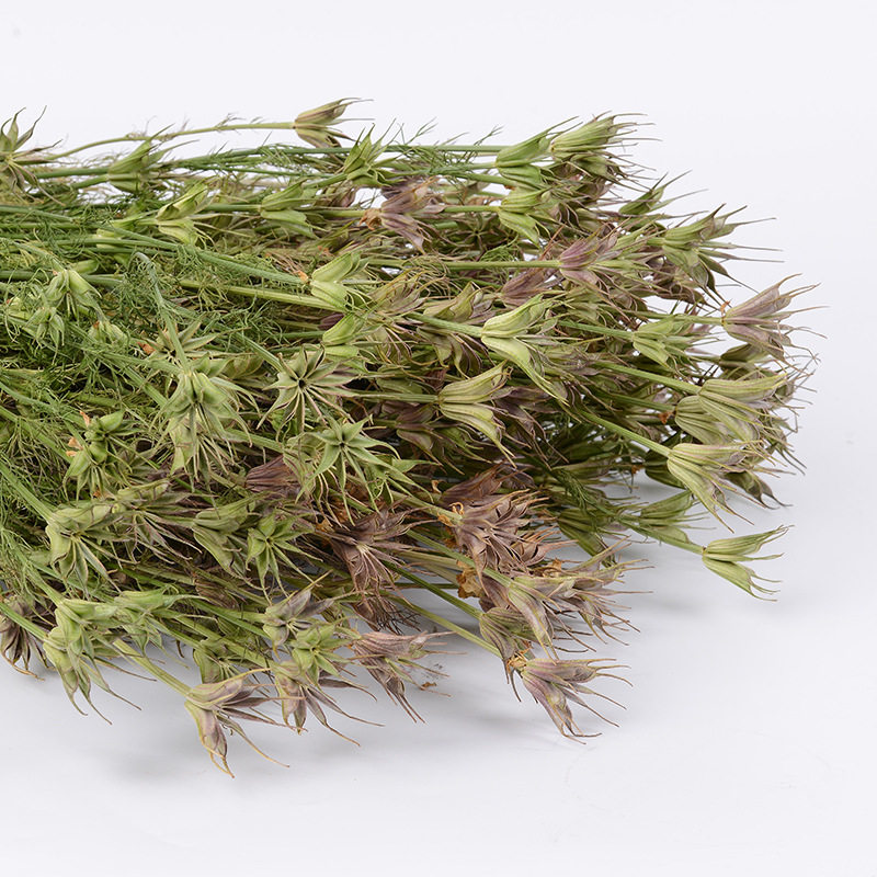 好货真花干花八角花家居装置拍摄道具森系复古插花装饰品花篮大扎