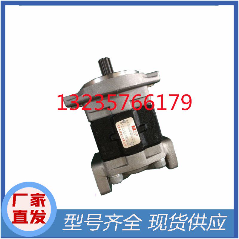 极速适用液压齿轮泵 油泵DSG05C20F9H1-R237CH堆高机齿轮泵怪手