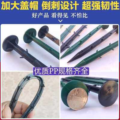 极速促厂促塑料地钉加粗D加长果园艺地布钉拉枝固定大棚地膜除草