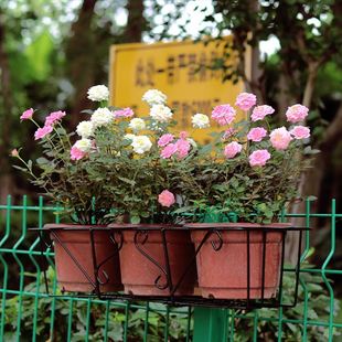 花蓝花盆阳台花架窗外支架挂在窗户上的盆栽防盗窗带挂钩防盗网