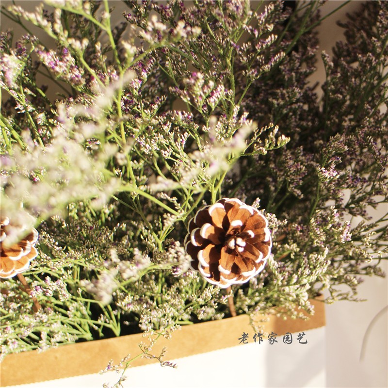 好货ins情人草干花包纸袋家居摆设客厅卧室摆设小清新ins散装拍摄