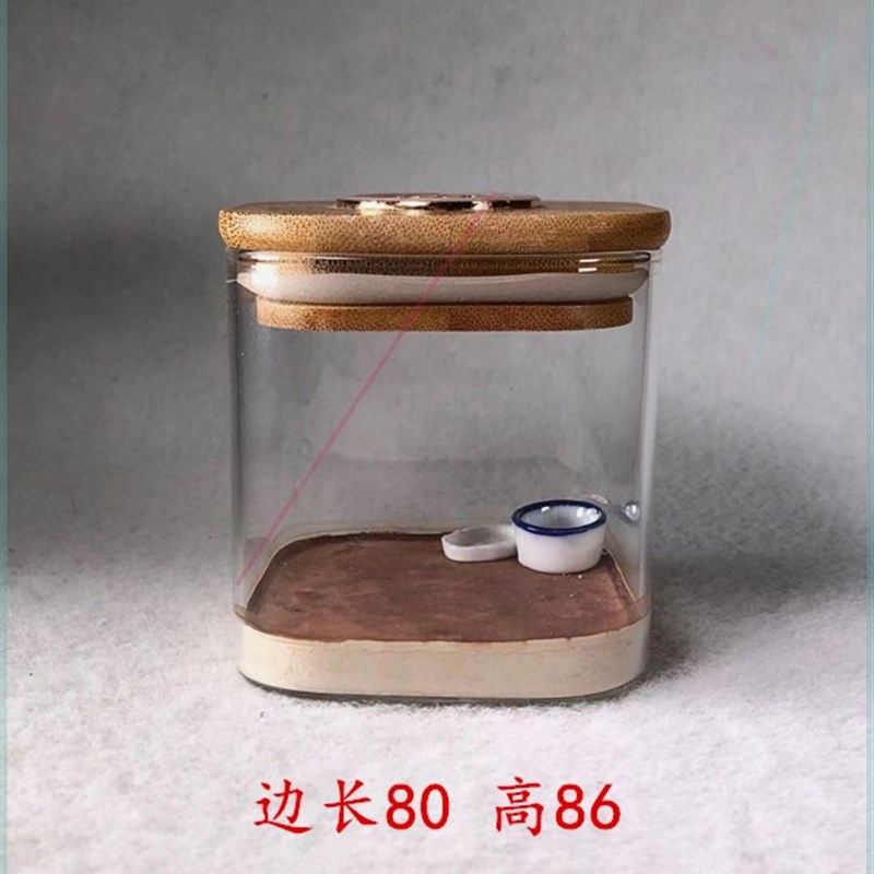 蛐蛐罐蝈蝈葫芦蟋蟀瓷罐鸣虫爬虫用品用具白瓷瓷碗三合土底可水洗