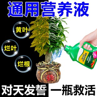 200%能救活】植物营养液通用型烂叶黄叶烂根盆栽家用花卉养花肥料