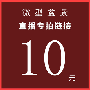 直播专拍黄荆盆景树桩熟桩室内盆栽绿植咨询客服2百