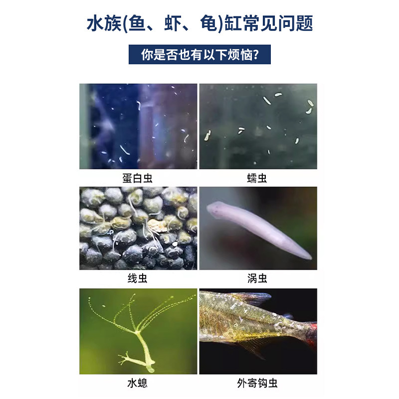 极速鱼缸除蛋白虫鱼缸杀虫药鱼虫净除涡虫寄生虫鱼用敌百虫鱼药清