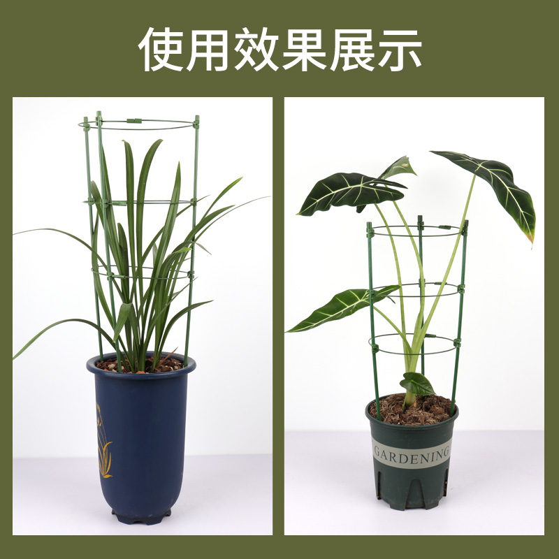 月季爬藤架铁线莲花架蔷薇阳台花盆支柱室内花卉蟹爪兰植物支撑杆