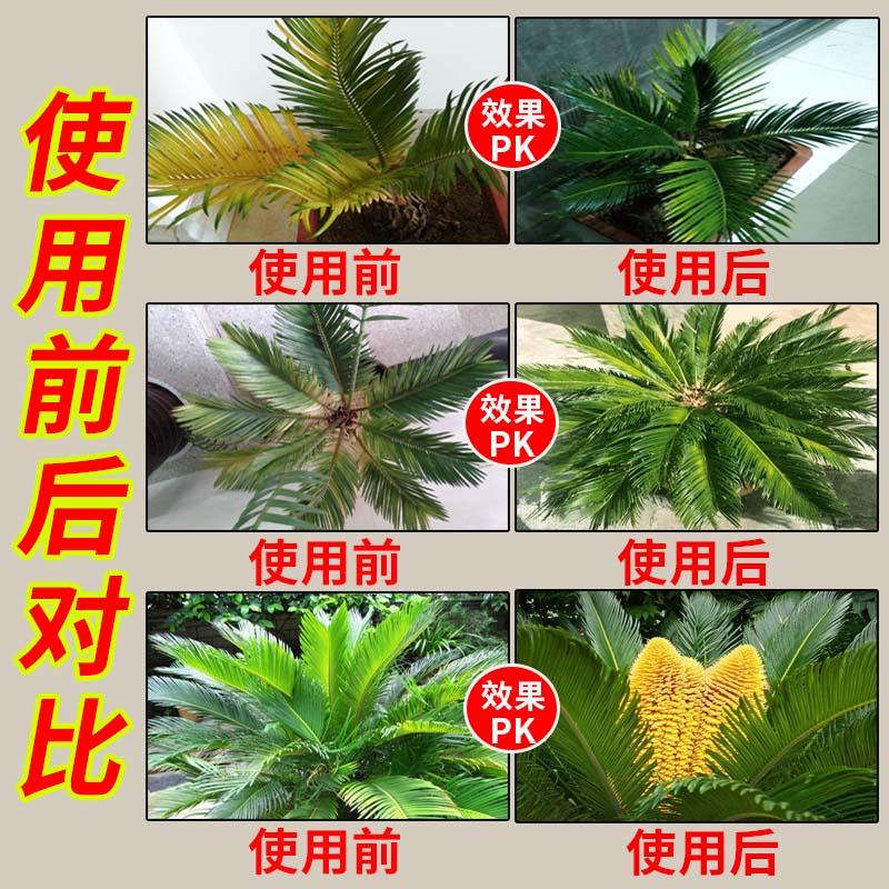铁树叶子发黄专用肥料防治烂根斑点花卉盆栽植物氮磷钾通用营养液
