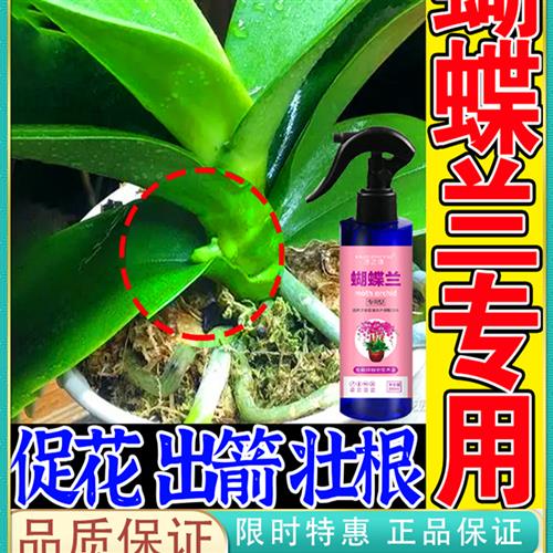 蝴蝶兰专用肥催箭剂促分芽生根魔肥叶子黄一喷绿通用免稀释营养液