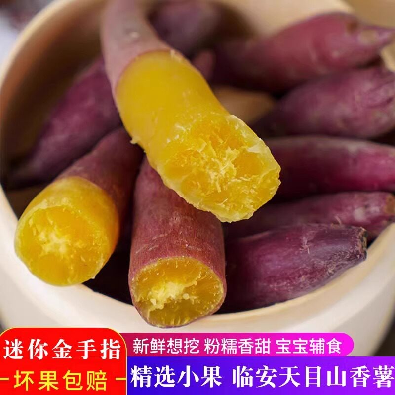 【小果】临安天目山小香薯正宗板栗薯迷你红薯香甜新鲜农家自种