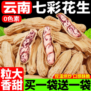 云南七彩花生2025新货水煮白晒带壳新鲜晒干花生坚果零食旗舰店