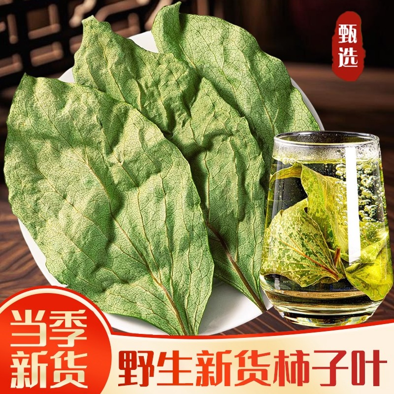 野生柿子叶中药材霜后泡水