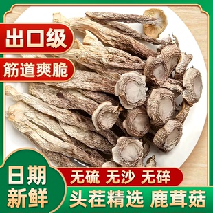 鹿茸菇干货500g 鹿茸菌非特级鹿茸菇云南特产脆脆菇煲汤材香菇 包邮