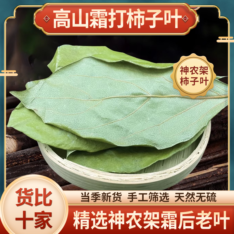 柿子叶中药材野生干粉新鲜