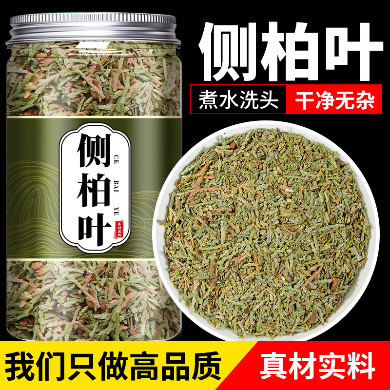 中药材正品野生侧柏叶伯粉