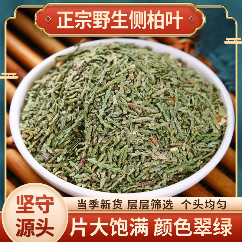 中药材侧柏叶500g正品野生