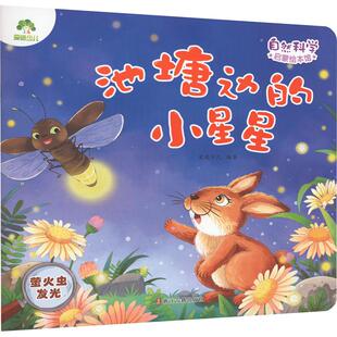 池塘边 萤火虫发光 小星星