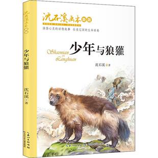 少年与狼獾