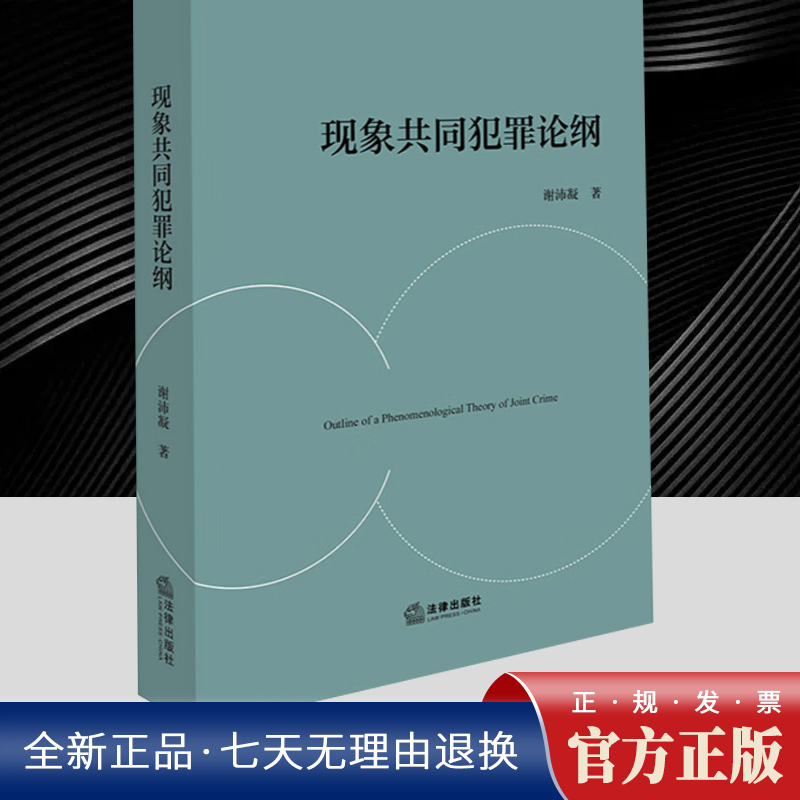 现象共同犯罪论纲