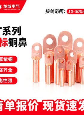 DT紫铜线鼻子铜接头镀锡堵油铜管