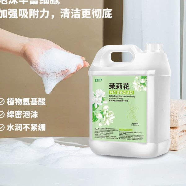圣洁康泡沫型洗手液家用酒店儿童大容量补充液