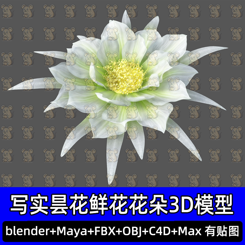 3damx写实昙花鲜花花卉Blender花瓣花朵植物3D模型FBX c4d maya