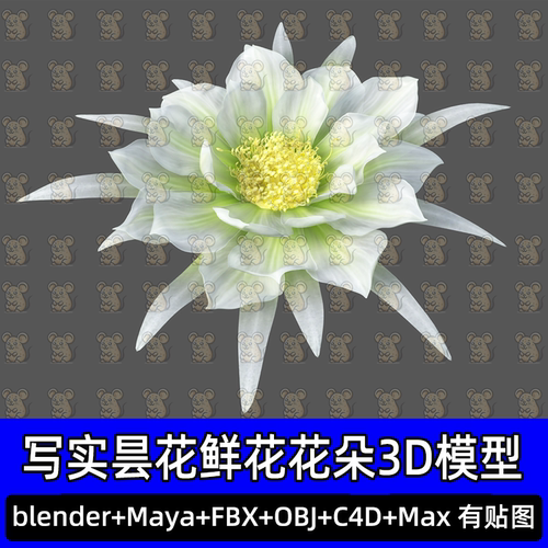 3damx写实昙花鲜花花卉Blender花瓣花朵植物3D模型FBX c4d maya