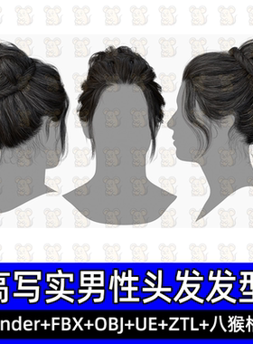 3DScanStore写实毛发插片发卡女性盘发发型3D模型blender fbx UE