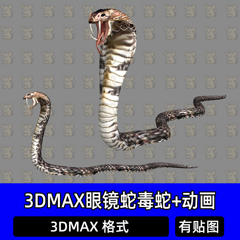 3dmax蛇眼镜蛇毒蛇毒牙爬行动物带骨骼绑定动画3D模型