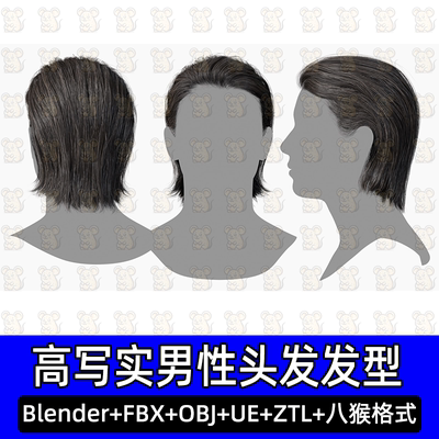 3DScanStore写实毛发男性插片发卡头发背头发型3D模型blender fbx
