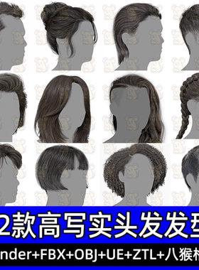 12款高高质量写实男女插片毛发型3DScanStore Realtime Hair Pack