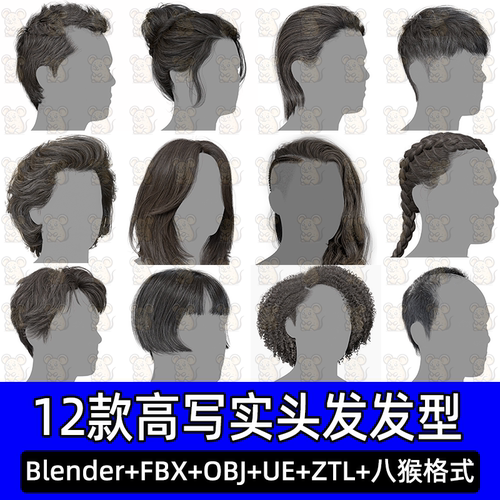 12款高高质量写实男女插片毛发型3DScanStore Realtime Hair Pack