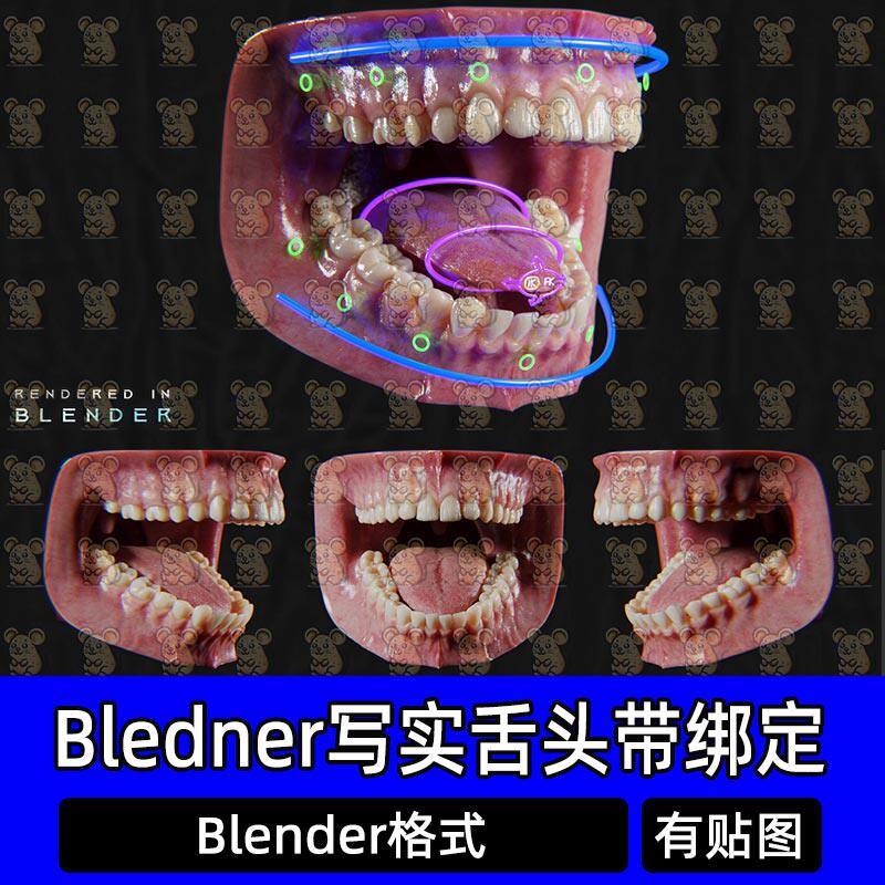 Blender逼真写实人类牙龈牙齿嘴巴带绑定3D扫描模型8K纹理贴图