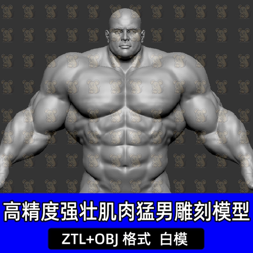 ZBrush强壮健美肌肉猛男全身人物腹肌手臂雕刻高模3D模型obj ZTL