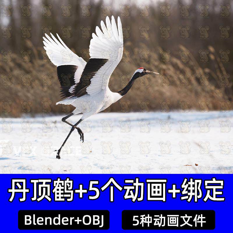 blender影视级写实丹顶鹤野生动物有骨骼绑定动画3D模型含毛发vfx